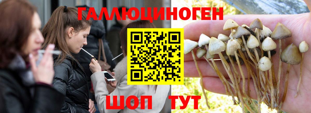 Моздок  Псилоцибиновые грибы ЛСД  продажа наркотиков  Вход с VPN 