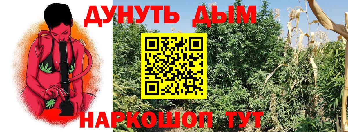 Каннабис тримм  Марихуана план  Бошки марихуана Ganja  Моздок  Вход с VPN  Бошки марихуана MAZAR 